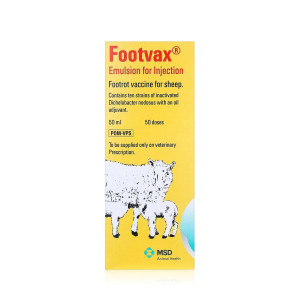 Footrot