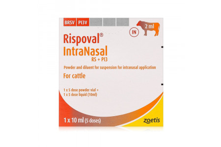 Rismol Injection Vaccine
