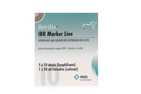 IBR