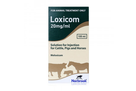 Loxin Inj Pain relief