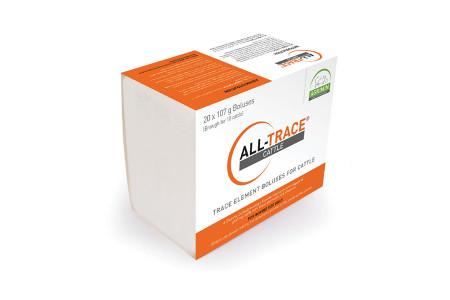 Vitamins, Minerals & Supplements