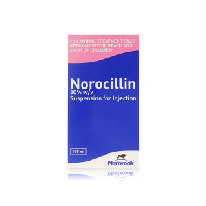 Norocillin 100ml