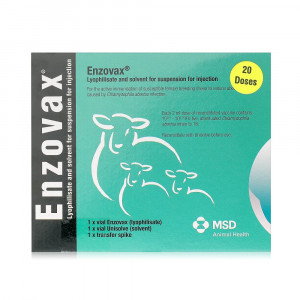 Enzovax (20 Dose)
