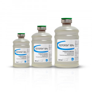 Ketofen 10% Injection (250ml)
