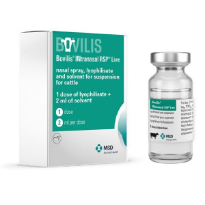 Bovilis Intranasal RSP Live (1 x 5 Dose)